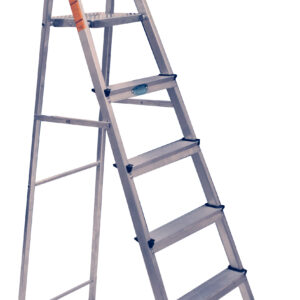 General Platform Ladder UAE