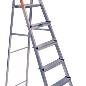 General Platform Ladder UAE